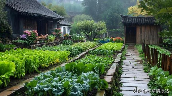 股票配资中心 农村种植什么收入稳定